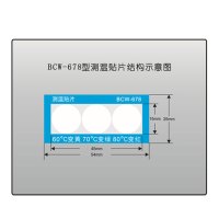 大有(DAYOU)示温片 示温贴片 变色测温贴片 测温纸测温片感温片BCW678