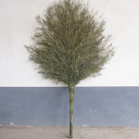 奇正 环卫竹扫把 大号