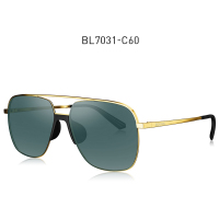 暴龙(BOLON)BL7031-C60偏光太阳镜蛤蟆镜男士墨镜眼镜