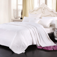 博洋(BEYOND) 雅蒂 蚕丝被 T1613231109