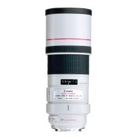 佳能(Canon) EF 300mm f/4L IS USM 佳能卡口 77mm口径 远摄定焦镜头