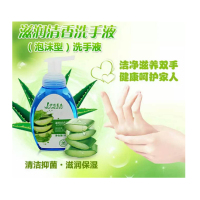 AB洗手液500ML