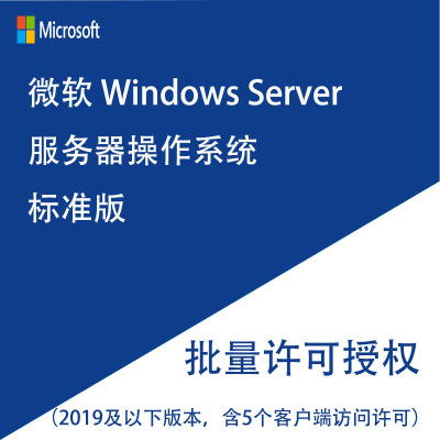 微软软件 Windows Server 服务器操作系统标准版(仅限政府和能提供事业单位证明的用户 )