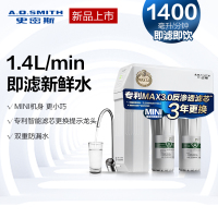AO史密斯(A.O.Smith)厨下式家用直饮净水器TM1400E 小体积 1.4升大流量净水机纯水机