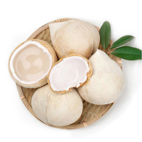 泰国进口椰青 两颗装 单果700g起 新鲜水果