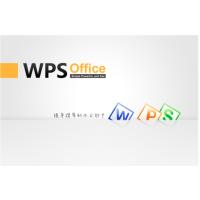 金山 WPS office 2019 专业 升级版