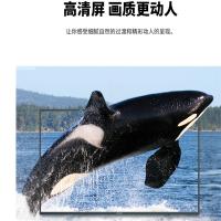 H50E3A 50英寸4K智能网络电视