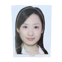 英飞力配发身靶纸 训练打靶纸 迷彩基本色飞镖纸射击专用纸 人质头靶(20×30)靶纸(50张)