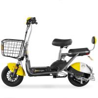 新日电动车舞感