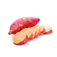 吉果多(JGD) 红薯 J-1218 DT