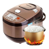 九阳(Joyoung) 电饭煲 JYF-50FS22 (单位:台)