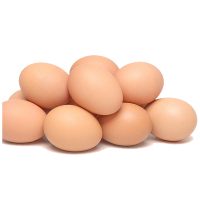 豆乐奇 鸡蛋 D-1237 DT