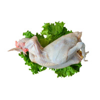 豆乐奇 肉鸡 D-1232 DT