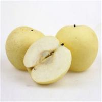 苏众(SU ZHONG) 水果类 梨子10箱装 专项定制