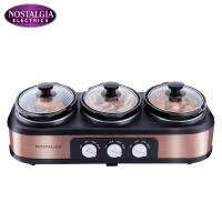 诺思得其(NOSTALGIA ELECTRICS)电炖锅 TSC15 家用多功能炖锅慢炖锅养生炖煮锅