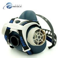 羿科 EW6100半面罩+6020滤毒盒+8910滤棉+6001滤棉盖