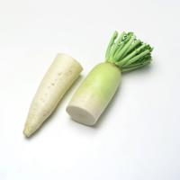 苏众(SU ZHONG) 蔬菜类白萝卜 专项定制