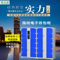 豫亿腾 指纹型电子存包柜,超市寄存柜,手机存放柜,投币刷卡扫码,健身房,美容院,储物柜