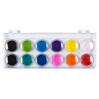 正彩（ZNCI）12色固体水彩粉饼颜料套装 手绘水彩画粉饼儿童颜料带画笔 6201