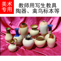 健芬欣 美术专用教师用写生教具(陶器、禽鸟标本等)