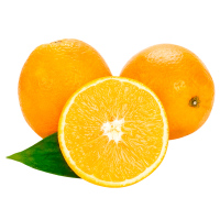 迪士尼伦晚橙 5kg