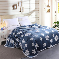 美缘登 枫情巴黎绒毯T5015-2