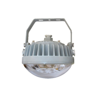 青阳-LED广角泛光灯-WF2110A