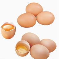 苏众(SU ZHONG) 蛋制品 鸡蛋类1 专项定制