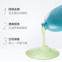 飘柔(Rejoice)家庭护理长效柔顺滋养洗发露洗发水 190ml