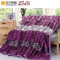 紫韵 ZY-TZ1236 时尚棉绒毯 180*200cm