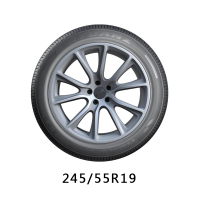雷登 轿车轮胎 DT 245/55R19