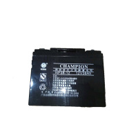 志成冠军 充电电池 12V/38AH NP38-12(单位个)