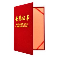 lonex 荣誉证书 6K DT 5228