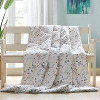 喜芙妮 格力空调被 XF-B1802