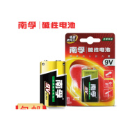 AB万能表电池9V/支