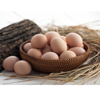 鸭农—农家鲜鸡蛋60枚