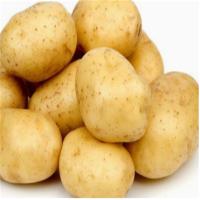 苏众(SU ZHONG) 蔬菜类 新鲜土豆 专项定制