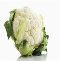 苏众(SU ZHONG) 蔬菜类 新鲜花菜 专项定制