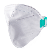 FEIHE JH FEIHE N95口罩 10个装