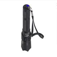 尚为(SEVA)SW2101(1W)防爆强光电筒 单位:个