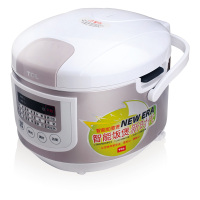 TCL 微电脑如意煲 TB-FD401A