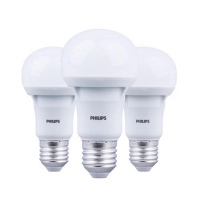 飞利浦(Philip) 经济 型 球泡 9W 6500K E27 (单位:只)