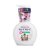 递乐(DiLe) 狮王 洗手液 泡沫洁净洗手液