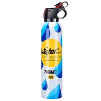 FlameFighter(火焰战士)水基灭火器汽车用车载灭火器 轿车家用手提小型便携消防器材年检用MSWJ555蓝色
