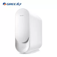 格力(GREE)净水器WTE-PT63-2X601A家用直饮无桶大流量厨房纯水机RO反渗透智能wifi净水机