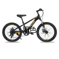 喜德盛儿童自行车20寸男女孩单车8-14岁学生山地车变速赛车中国风 颜色随机