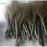 小海牛 大竹扫把 户外清扫 大扫帚环卫清洁 小笤帚工厂户外