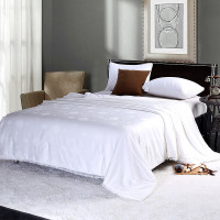 天琴佳品蚕丝被 单人双人被加厚全棉被芯 200*230cm 花色 TQ-B049