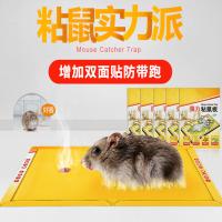 DAYUNHE 粘鼠板 除害器 驱鼠神器抓老鼠胶 5板装 HD