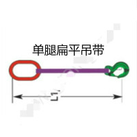 多来劲 0515 2001-10 单腿扁平吊带组合吊具 额载1.0T 使用长度10m 眼形吊钩带安全舌